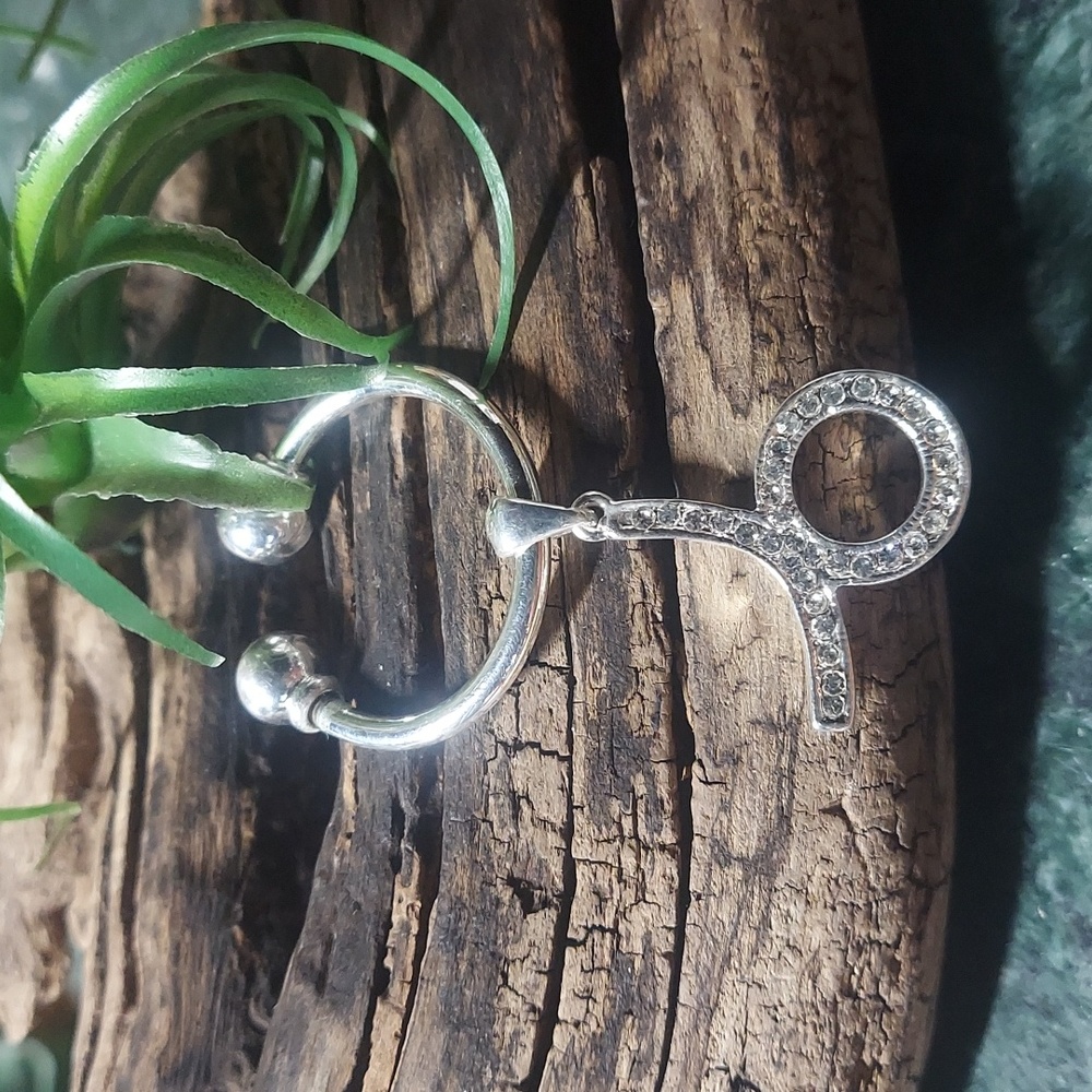 P059 Zodiac TAURUS Crystal Key Holder